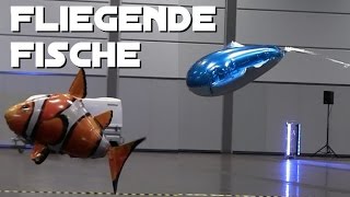 RC Fliegende Fische  Clownfisch amp Rochen ModellHobbySpiel Leipzig 2016 Indoor  flying fishes [upl. by Nna]