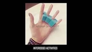 Hand Exercise interossei muscles palmar [upl. by Lipsey693]