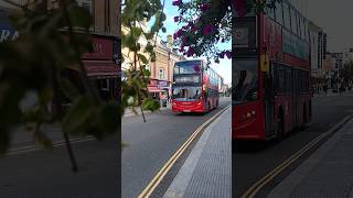 London buses [upl. by Yecniuq]