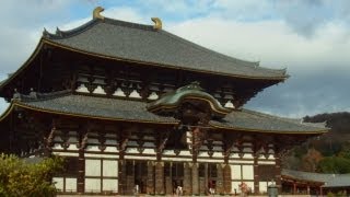 Todaiji Temple （東大寺） Nara City [upl. by Anedal]