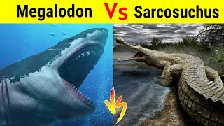 Megalodon Vs Sarcosuchus  क्या समुद्र का सबसे बड़ा shark मार पायेगा इस खूंखार Crocodile को [upl. by Ilamad]