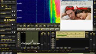 6930 KHz Wolverine Radio SSTV Capture Shortwave Pirate Station Perseus SDR [upl. by Emmuela]