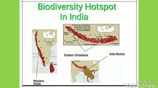 BIODIVERSITY  BIODIVERSITY HOTSPOTS IN INDIA  Biodiversity conservation and management [upl. by Sebastiano258]