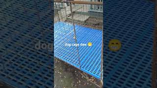 dog cage fyp dogcage diy done shortvideo [upl. by Arad]