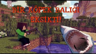 balık tutmaktan ciğerim soldu minecraft serisi 2 bölüm [upl. by Nhaj]