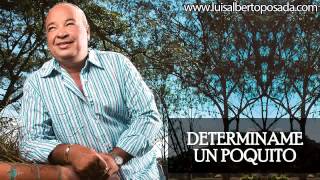 Luis Alberto Posada  Determiname Un Poquito Audio Oficial [upl. by Yemerej754]