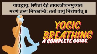 Yogic Breathing ll A powerful technique ll योगी की तरह श्वास लेना सीखो और अनगिनत सिद्धियां पाओ l [upl. by Enirahtac]