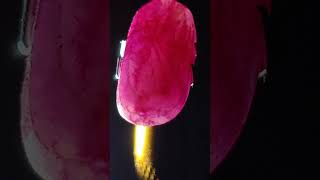 gems  minerals  rocks  ruby  sapphire  emerald  jade  diamond gemstone jewellery jewelry [upl. by Retnyw]