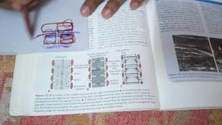 its made easy vertebral coloumn development from special embryology [upl. by Daas]