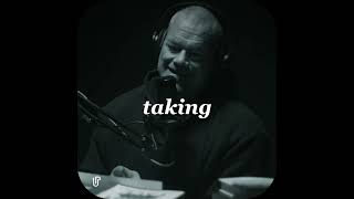 Jocko Willink on TAKING ACTION [upl. by Flita981]