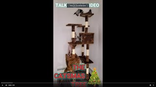 TALKING CAT VIDEO  THE CATSMAS TREE [upl. by Malha]