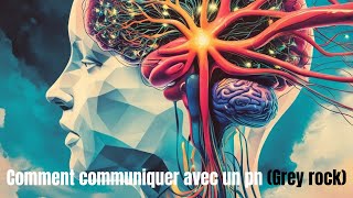 Comment communiquer avec un PN Grey rock [upl. by Reiniar346]