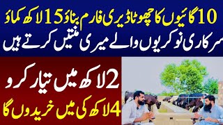 How to start Small Dairy Farm with 10 small cows In pakistan [upl. by Trimmer98]