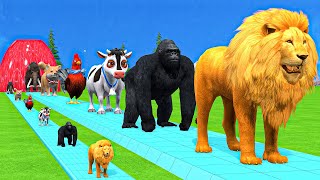 Paint amp Animals CowGorillaElephantGiraffeTigerLion Fountain Crossing Transformation Cartoon [upl. by Ahsienat]