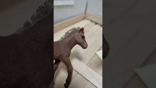 begabt hochbegabt schleich horse horses viral shortsvideo funny schleichhorse deutsch [upl. by Neela]