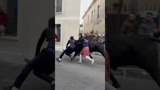 Taureau arrêté à Mudaison manade Briaux [upl. by Vyky444]