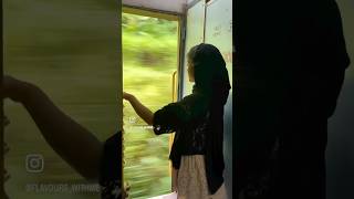 Nilambur To shoranur Train Journey [upl. by Eimmij]