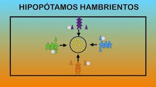 HIPOPÓTAMOS HAMBRIENTOS  Juegos Educación Física [upl. by Ettenahs711]