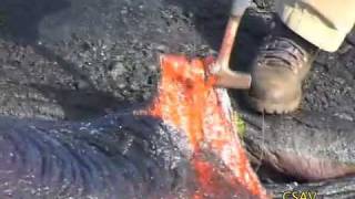 CSAV Hawaii Sampling Molten Lava UH Hilo Geology Department [upl. by Rez]