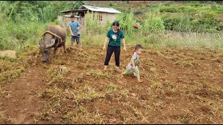 Full video plowing harrowing corn planting process  rural life [upl. by Hcnarb640]