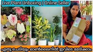 Unboxing Live Plants  Online Plant Seller  Orchids  Indoor Plants  Succulents  Alans Garden [upl. by Christoph]