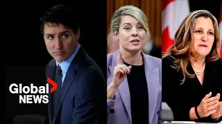 Top Liberals display united front as calls for Trudeau to step aside grow [upl. by Akeber]