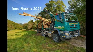 Tatra Phoenix 2023  Nakladanie a odvoz dreva  Loading and removal of wood [upl. by Veriee]