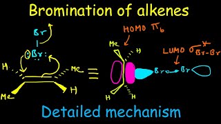 Bromination of alkenes  Electrophilic addition of bromine to alkenes mechanism and stereochemistry [upl. by Garnett358]