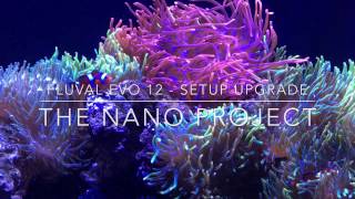 Fluval Evo 12  Setup Upgrade [upl. by Watkin]