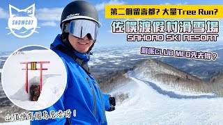 佐幌渡假村滑雪場 第二個留壽都 大量Tree Run 剩係Clubmed先去得 Sahoro Ski Resort [upl. by Teresita140]