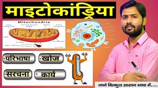 माइटोकॉन्ड्रिया क्या है  खोज परिभाषा कार्य  What is Mitochondria [upl. by Berlyn]