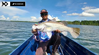 UNBOXING amp TESTING LURE WARNA TERNARU VEDEN 75F DARI EXODUSLANGSUNG AMIS DAPAT BARRAMUMDI BESAR [upl. by Oler]