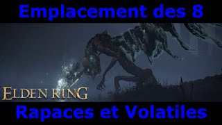 ELDEN RING  Position des 8 RAPACES et VOLATILES FUNSESTES [upl. by Llehsim761]