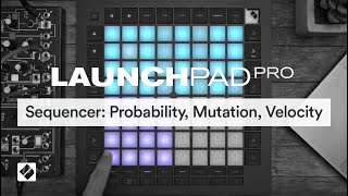 Launchpad Pro MK3  Sequencer Probability Mutation Velocity  Novation [upl. by Arykahs]