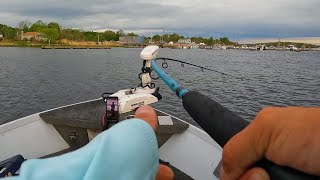 Merrimack River Striped Bass Fishing May 2024 [upl. by Fineberg]