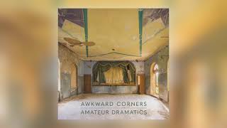 Awkward Corners  No Words feat Tamar Osborn Audio [upl. by Sofia]