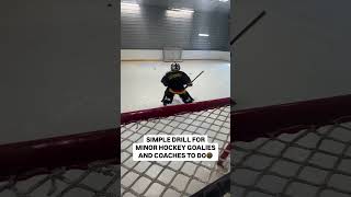 Simple drill for MH Goalies and Coaches😅 [upl. by Zapot842]