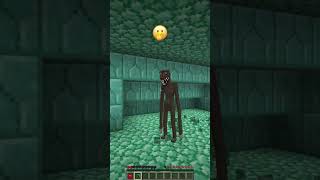 Everyone was Frightened of Something shorts minecraft meme [upl. by Gasparo]