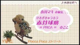 Pocca Poca ストリート Vol 1 2009423 OA [upl. by Hallagan700]