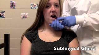 How to Palpate the Salivary Glands [upl. by Notrub782]