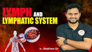 Lymphatic System in Hindi  Lymph  Lymph Nodes  Lymph Vessels  NEET [upl. by Ecidnac410]