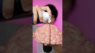 scrubbing your 🧠 asmr [upl. by Torrance]