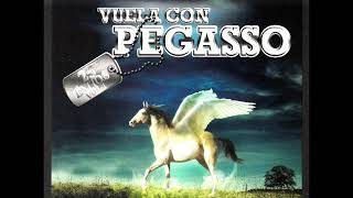 Grupo PegassoMitades [upl. by Assyral]