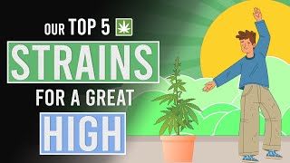 Our Top 5 Weed Strains for a Great High [upl. by Elleinod]