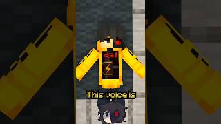 Ethos Voice Glitch In Minecraft [upl. by Ligetti682]