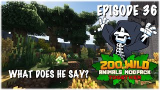 The Fox Exhibit  Minecraft SMP Zoo and Wild Animal ZAWA Mod  S3E36 [upl. by Lust192]