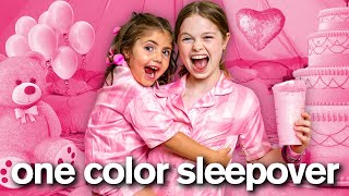 EVERYTHING in ONE COLOR for 24 HOURS very funny [upl. by Esened]