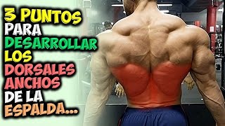 3 PUNTOS Para DESARROLLAR ✔ Unos DORSALES Anchos Y Musculosos 👉 Gana Una ESPALDA Grande [upl. by Lenahtan318]