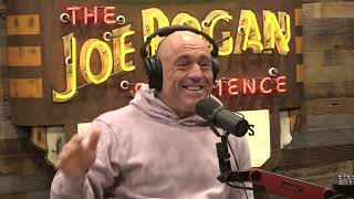 Joe Rogan Experience 2078  Duncan Trussell [upl. by Burnsed289]