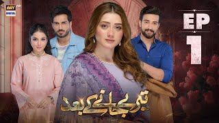 Teray Janay Kay Baad Episode 1  30 July 2024 English Subtitles  ARY Digital Drama [upl. by Aiduan395]